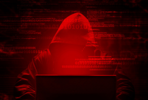 Digital Fraud